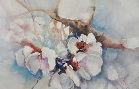 Urquias Aquarelle Almendros