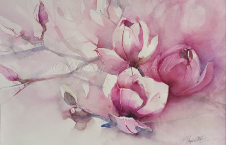 Urquias Aquarelle Magnolien