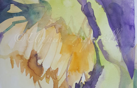 Urquias Aquarelle Sonnenblumen 1