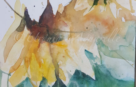 Urquias Aquarelle Sonnenblumen 2