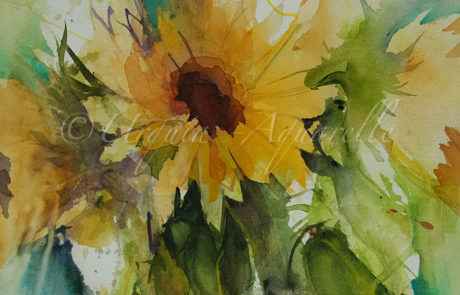 Urquias Aquarelle Sonnenblumen 5