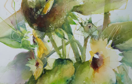 Urquias Aquarelle Sonnenblumen in weisser Vase