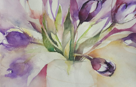 Urquias Aquarelle Tulpen 1