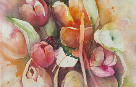 Urquias Aquarelle Tulpen 6