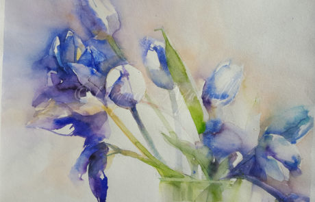 Urquias Aquarelle Lila Tulpen