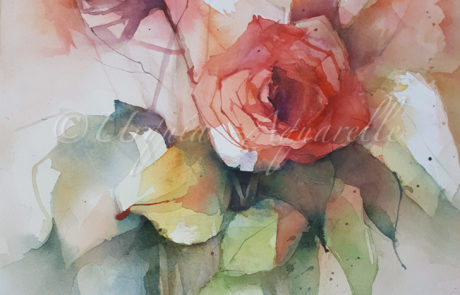 Urquias Aquarelle Orange Rose