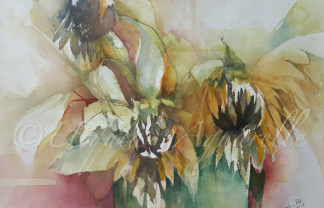 Urquias-aquarelle-Sonnenblummen 950x 36 cm