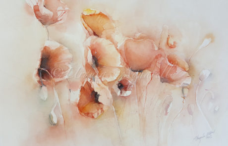 urquias-aquarelle-Mohnblumen 30 x 40 -15