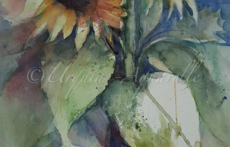 urquias-aquarelle- 2 Sonennblumen