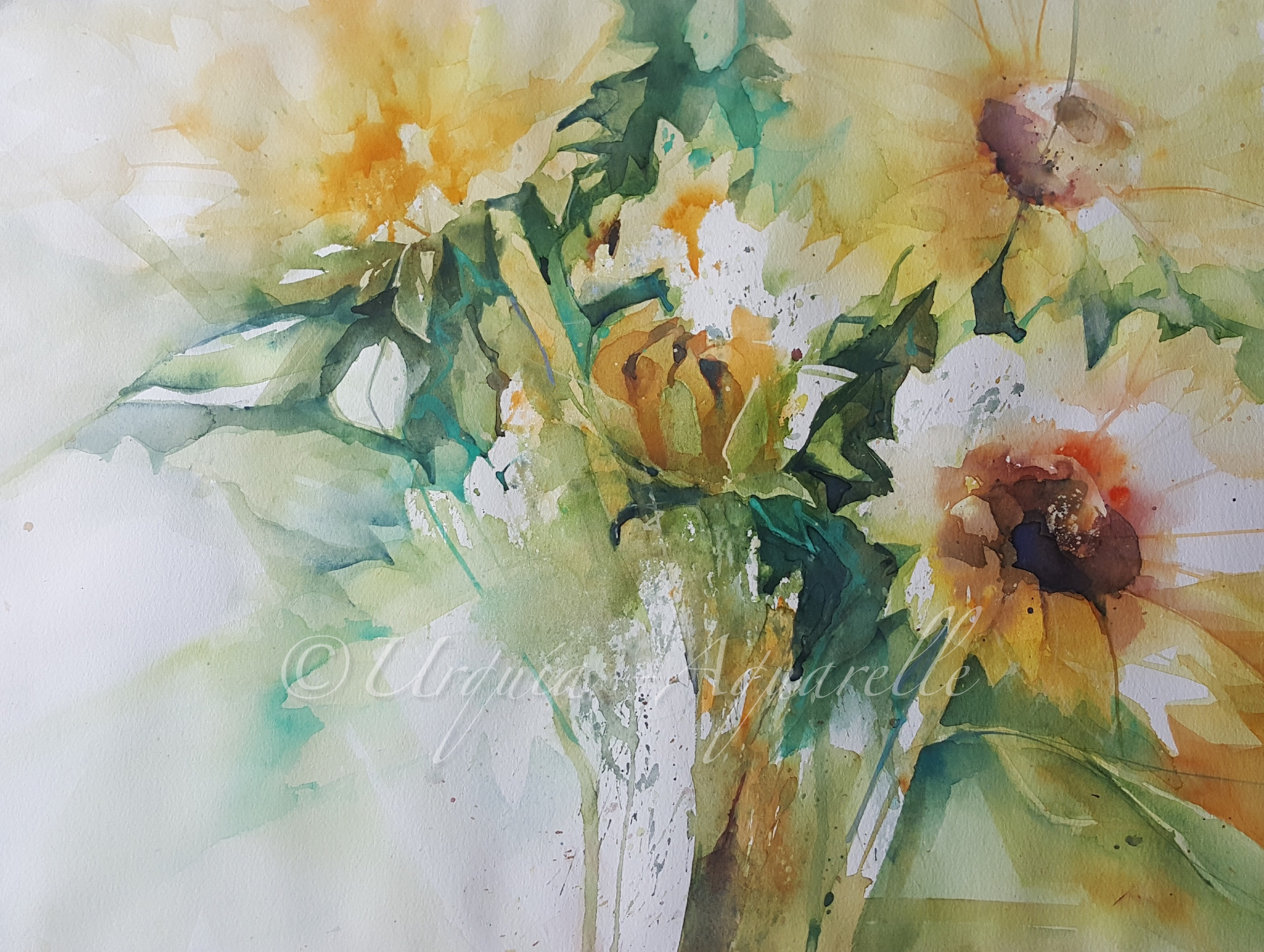 urquias-aquarelle-Sonnenblummen -frei 42x56 cm