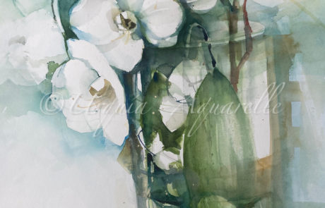 urquias-aquarelle. Orquideen