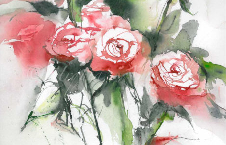 urquias-aquarelle-Rosen5-15