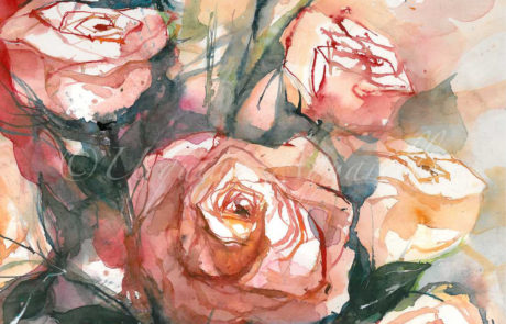 urquia-aquarelle-Rosen8-15