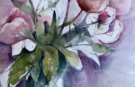 Pfingstrosen 1 48 x 36 cm